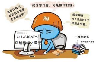 淘寶C店精細化運營 大鏈接爆款玩法的核心技術解析與轉讓價值